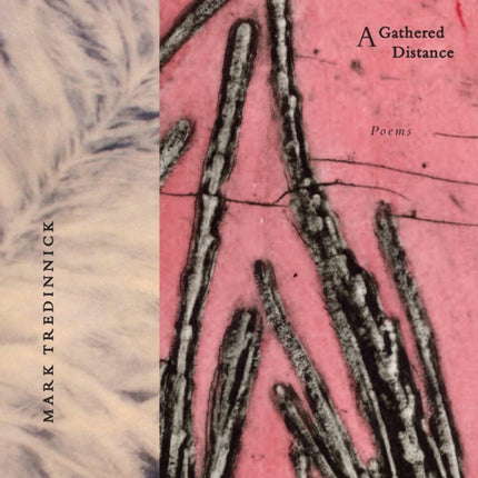 A Gathered Distance Poems