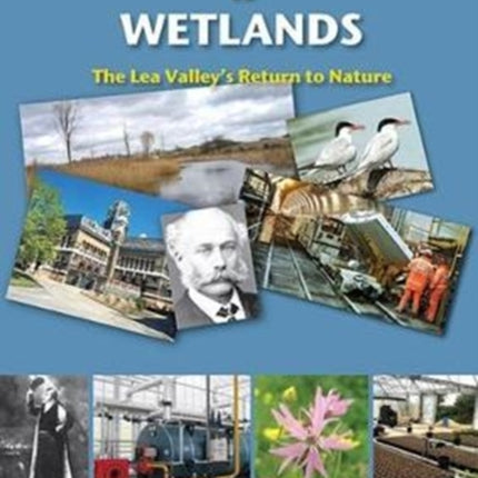 From Ice Age to Wetlands: The Lea Valley’s Return to Nature