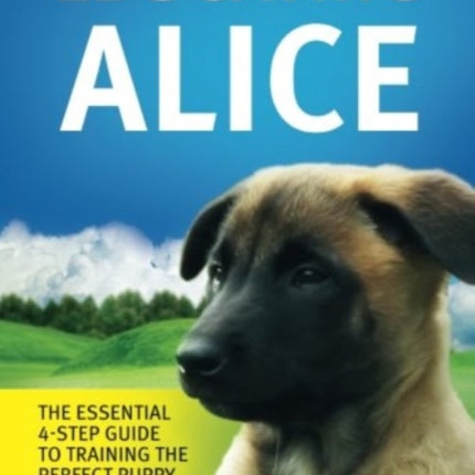 Educating Alice