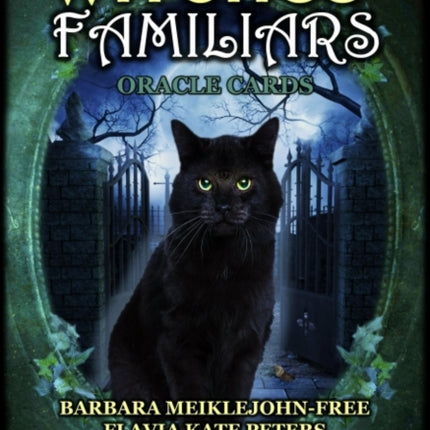 Witches Familiars Oracle Cards