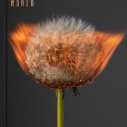 An Exploding World