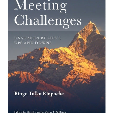Meeting Challenges