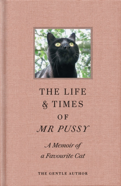 The Life & Times Of Mr Pussy: A memoir of a favourite cat