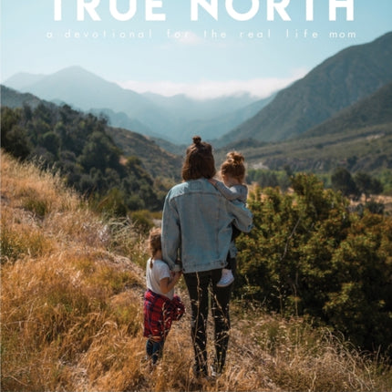 True North