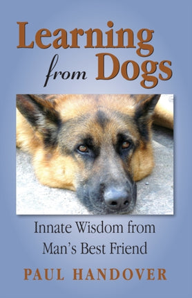 Learning from Dogs Innate Wisdom from Mans Best Friend
