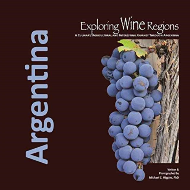 Exploring Wine Regions Argentina 1