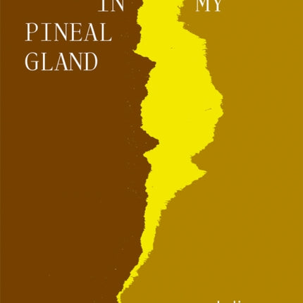 Mucus in My Pineal Gland