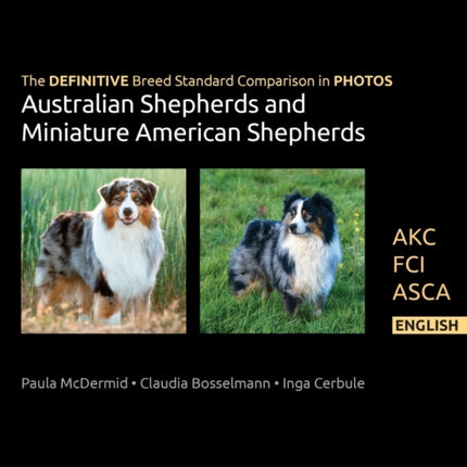 The DEFINITIVE Breed Standard Comparison in PHOTOS for Australian Shepherds and Miniature American Shepherds