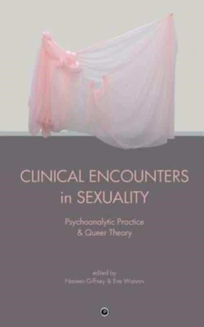 Clinical Encounters in Sexuality Psychoanalytic Practice and Queer Theory