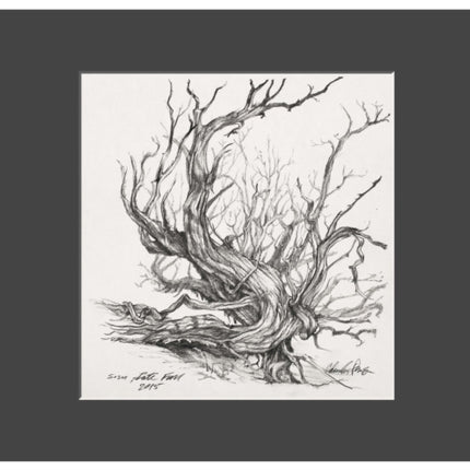 Charles Parson Drawing