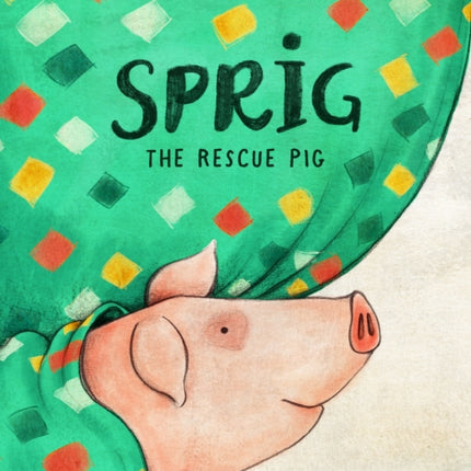 Sprig the Rescue Pig