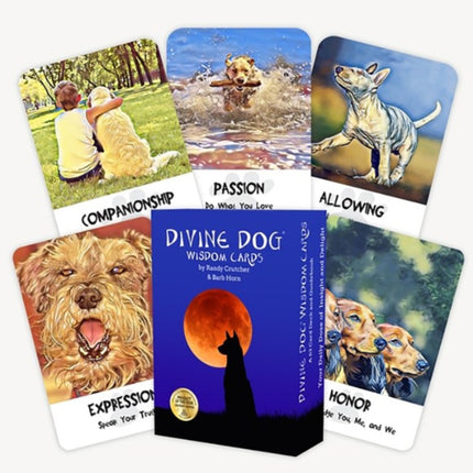 Divine Dog Wisdom Cards