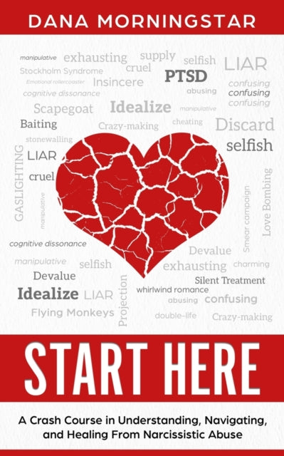Start Here A Crash Course in Understanding Navigating and Healing From Narcissistic Abuse