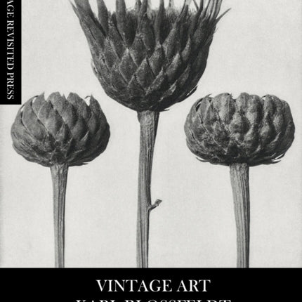 Vintage Art