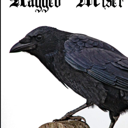 Ragged Miser