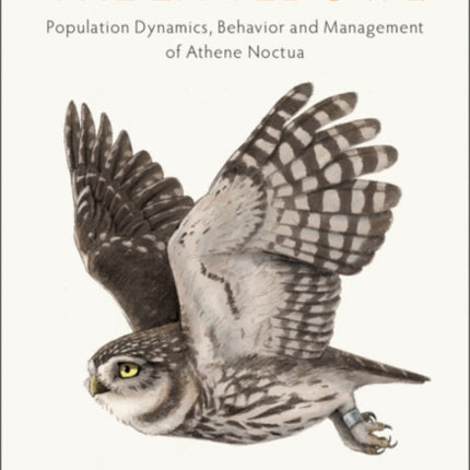 The Little Owl