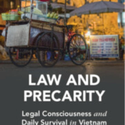 Law and Precarity