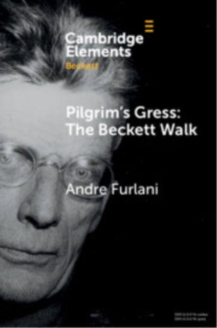 Pilgrims Gress The Beckett Walk As Aesthetic