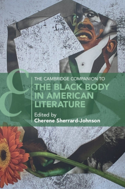 The Cambridge Companion to the Black Body in