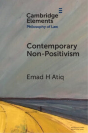 Contemporary NonPositivism