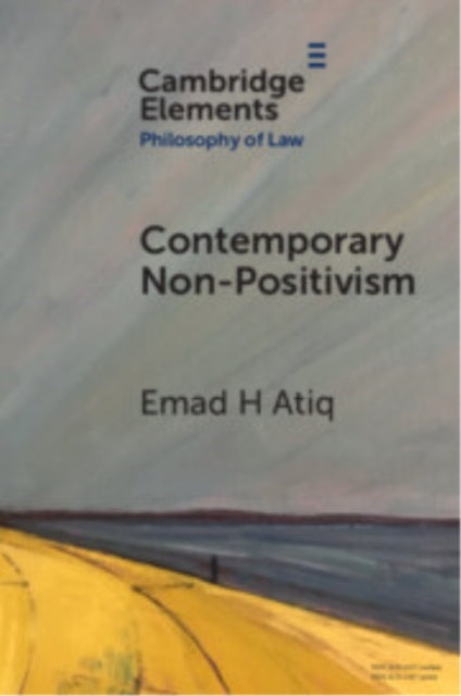 Contemporary NonPositivism