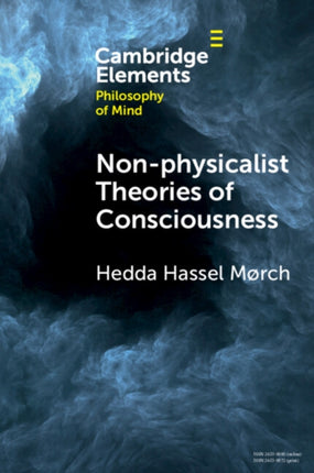 Nonphysicalist Theories of Consciousness