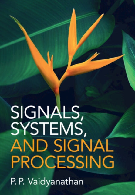 Signals Systems and Signal Processing