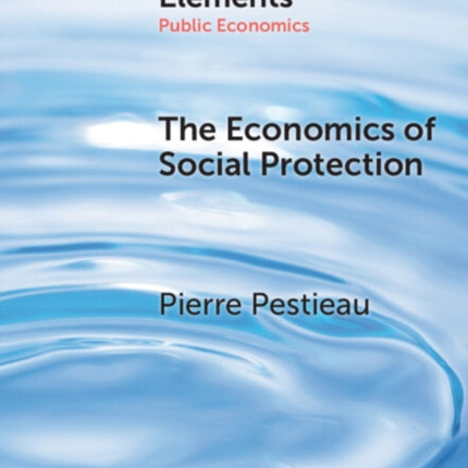 The Economics of Social Protection
