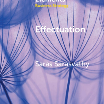 Effectuation