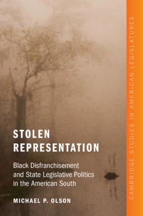 Stolen Representation