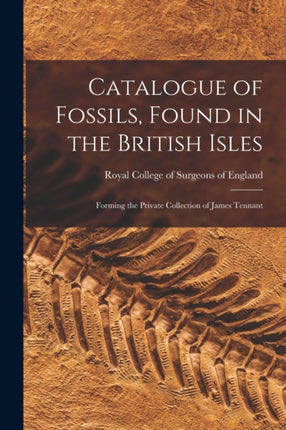 Catalogue of Fossils Found in the British Isles
