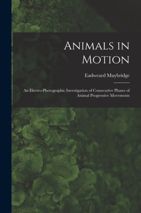 Animals in Motion