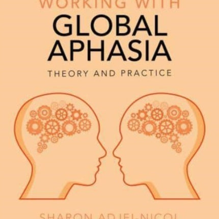 Working with Global Aphasia: Theory and Practice