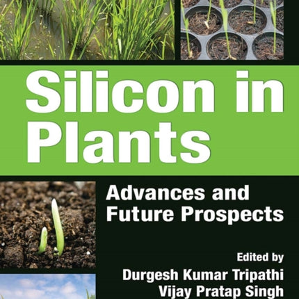 Silicon in Plants
