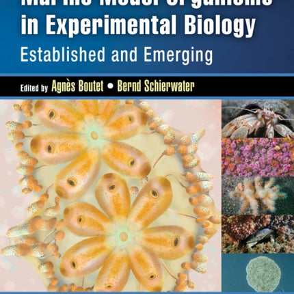 Handbook of Marine Model Organisms in Experimental Biology