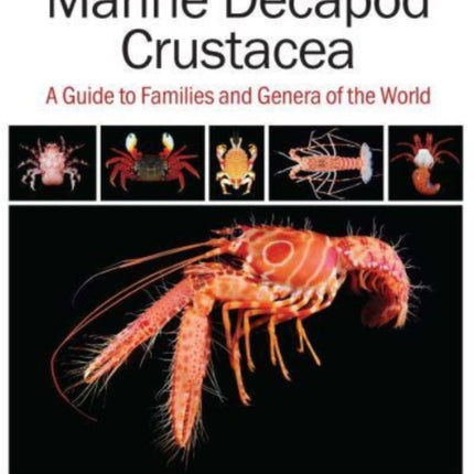 Marine Decapod Crustacea: A Guide to Families and Genera of the World