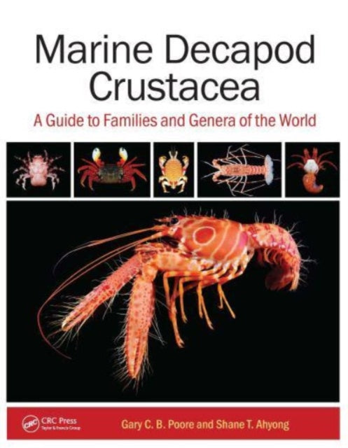 Marine Decapod Crustacea: A Guide to Families and Genera of the World