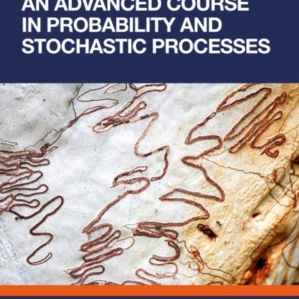 An Advanced Course in Probability and Stochastic