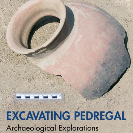 Excavating Pedregal
