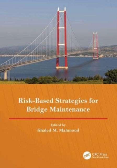 RiskBased Strategies for Bridge Maintenance
