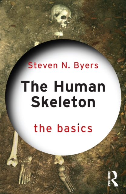 The Human Skeleton The Basics