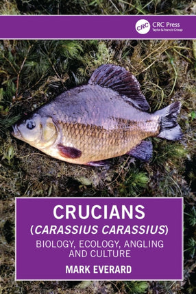 Crucians Carassius carassius