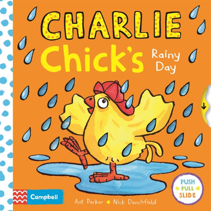 Charlie Chicks Rainy Day