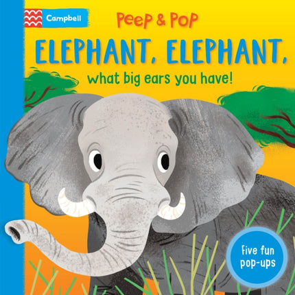 Elephant Elephant What Big Ears You Have