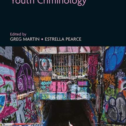 Research Handbook on Youth Criminology