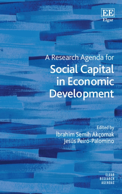 Research Agenda for Social Capital in Economic