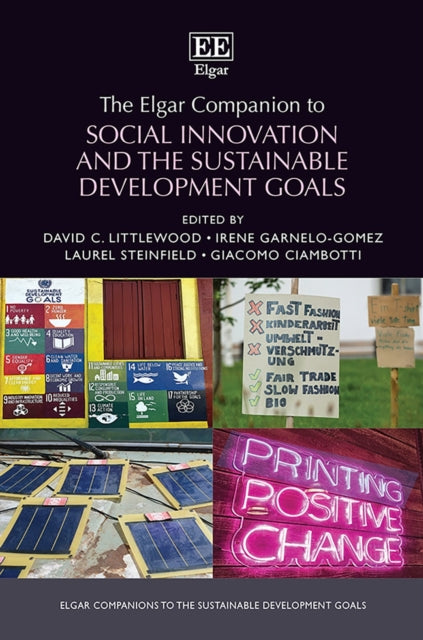 The Elgar Companion to Social Innovation and the Sustainable Development Goals