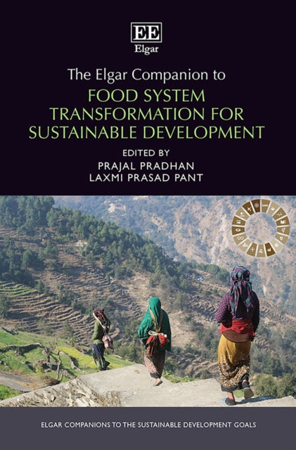 The Elgar Companion to Food System Transformation for Sustainable Development