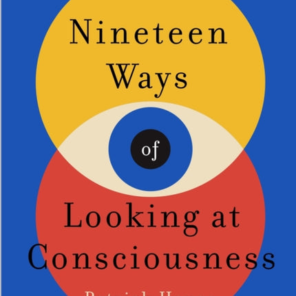 Nineteen Ways of Looking at Consciousness