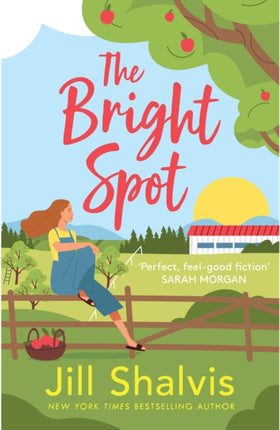 The Bright Spot: The uplifting novel of love, hope and the family you choose